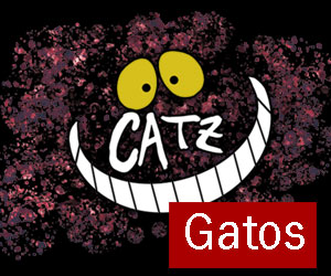gatos - Camisetas estampadas de gatos